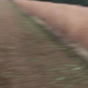 Meet your Posher, Alejandro